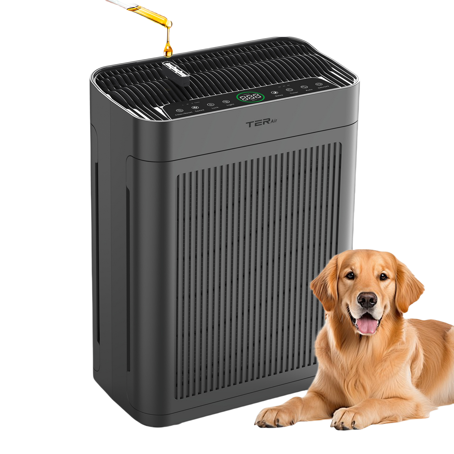 TER AP01 gray HEPA air purifier front view