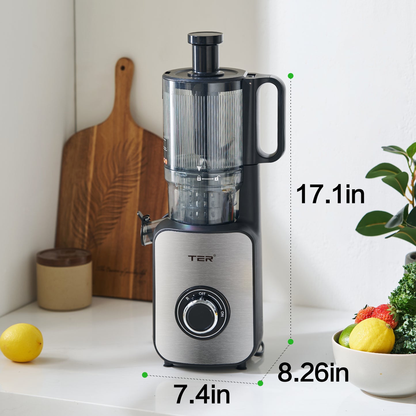 Juicer Machines, TER Cold Press Juicer with 5'' Wide Chute, Stainless Steel Slow Masticating for Vegetables & Fruits, High Juice Yield, Easy to Clean, Includes 2 Cups