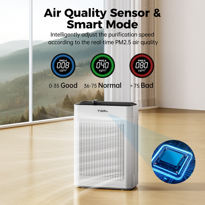 TER AP01 PM2.5 air quality display and touch controls