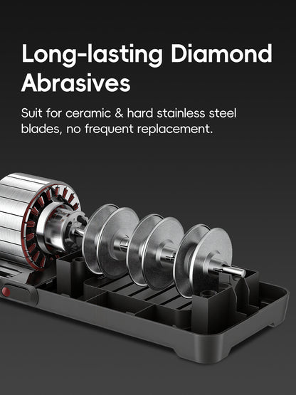 TER electric knife sharpener with diamond abrasives